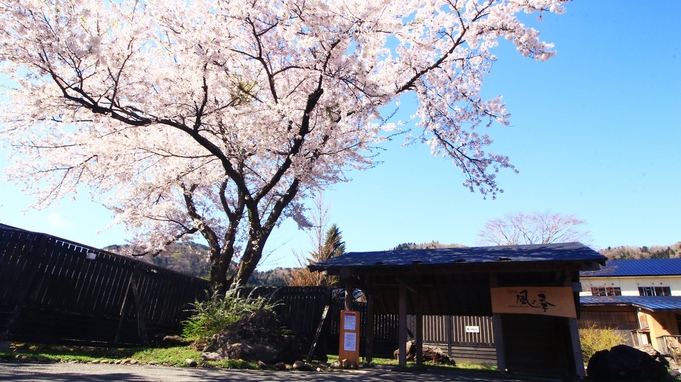 【特典付】春爛漫♪特製・お花見弁当を食べながらお部屋でお花見を楽しもう《２食付》